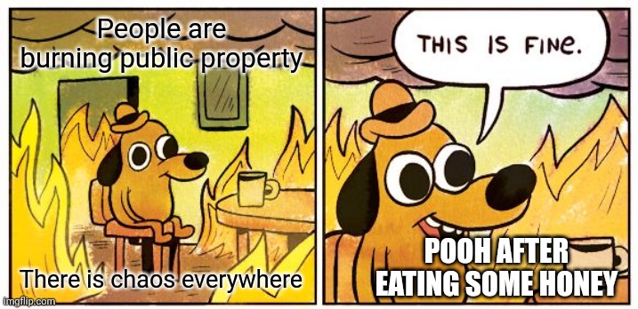 Coping Mechanism | People are burning public property; There is chaos everywhere; POOH AFTER EATING SOME HONEY | image tagged in memes,this is fine | made w/ Imgflip meme maker