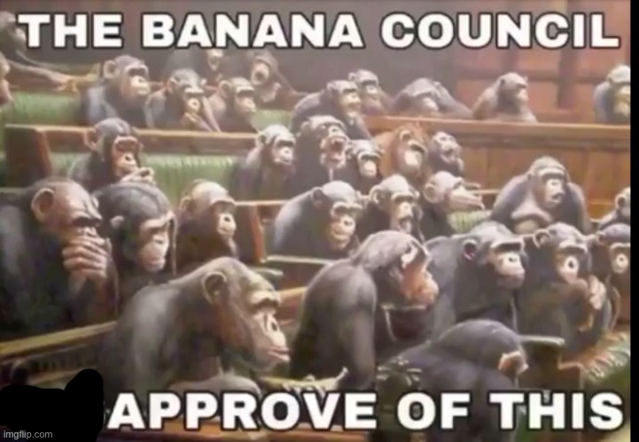 The banana council disapproves of this | image tagged in the banana council disapproves of this | made w/ Imgflip meme maker