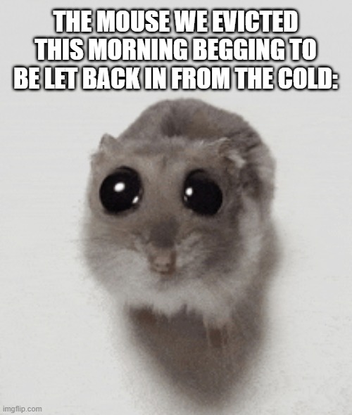 Give Me Rent! | THE MOUSE WE EVICTED THIS MORNING BEGGING TO BE LET BACK IN FROM THE COLD: | image tagged in funny,memes,funny memes,spiderman,rent,mouse | made w/ Imgflip meme maker