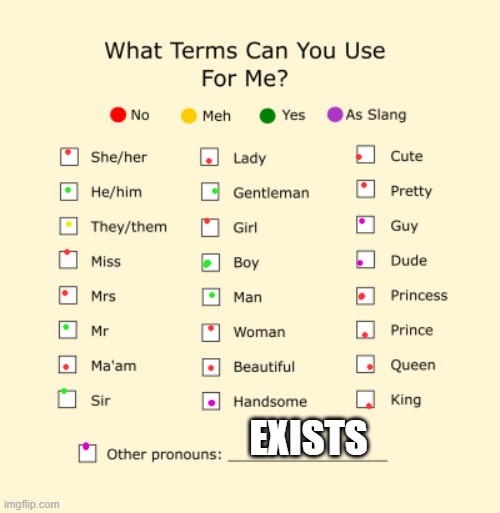 Pronouns Sheet | EXISTS | image tagged in pronouns sheet | made w/ Imgflip meme maker