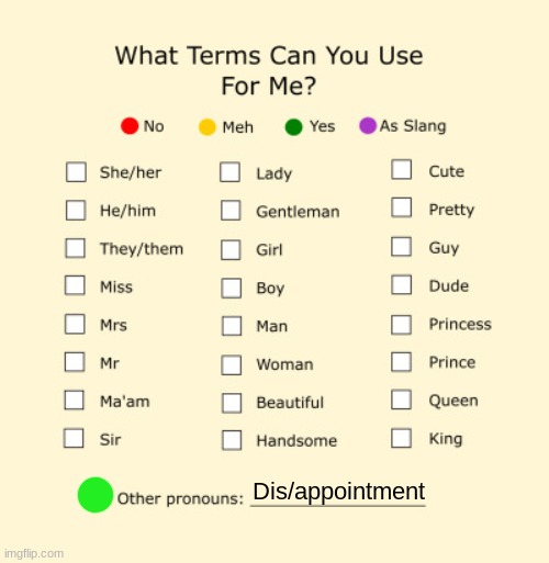 Pronouns Sheet | Dis/appointment | image tagged in pronouns sheet | made w/ Imgflip meme maker