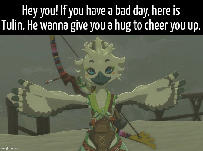 Where there is a bad day, there is a good day. | Hey you! If you have a bad day, here is Tulin. He wanna give you a hug to cheer you up. | image tagged in wholesome,hug | made w/ Imgflip meme maker