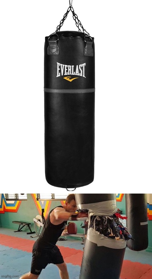 Destroy the Punching Bag | image tagged in destroy the punching bag | made w/ Imgflip meme maker