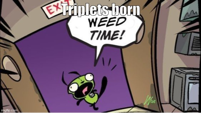 weed time | Triplets born | image tagged in weed time | made w/ Imgflip meme maker
