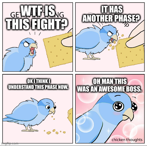 Bird Cracker | WTF IS THIS FIGHT? IT HAS ANOTHER PHASE? OH MAN THIS WAS AN AWESOME BOSS. OK I THINK I UNDERSTAND THIS PHASE NOW. | image tagged in bird cracker | made w/ Imgflip meme maker