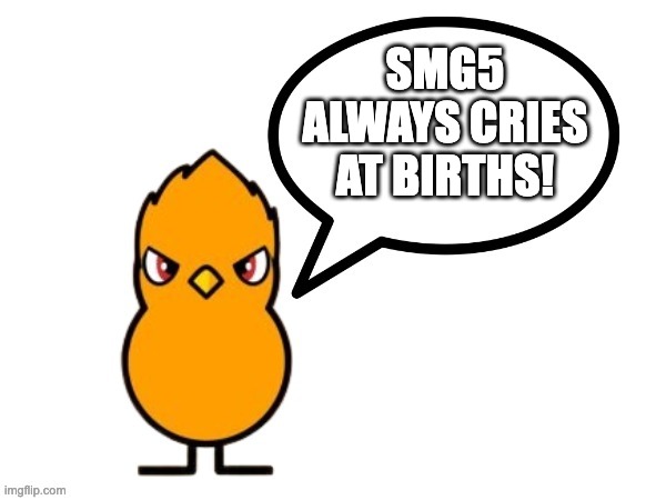 its tru! | SMG5 ALWAYS CRIES AT BIRTHS! | image tagged in fun facts with nathaniel the duck | made w/ Imgflip meme maker