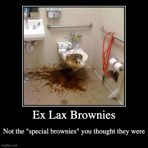 Mmmmmm brownies | Ex Lax Brownies | Not the "special brownies" you thought they were | image tagged in funny,demotivationals | made w/ Imgflip demotivational maker