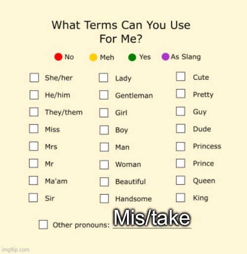 Pronouns Sheet | Mis/take | image tagged in pronouns sheet | made w/ Imgflip meme maker