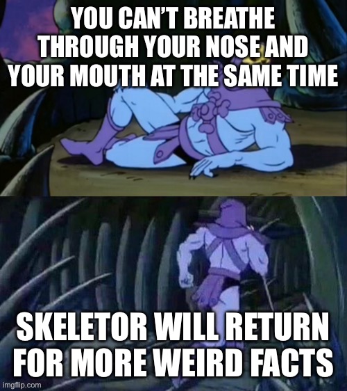 I know you just tried | YOU CAN’T BREATHE THROUGH YOUR NOSE AND YOUR MOUTH AT THE SAME TIME; SKELETOR WILL RETURN FOR MORE WEIRD FACTS | image tagged in skeletor disturbing facts,shower thoughts,breathe,nose,mouth | made w/ Imgflip meme maker