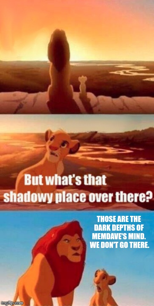 Simba Shadowy Place | THOSE ARE THE DARK DEPTHS OF MEMDAVE'S MIND.  WE DON'T GO THERE. | image tagged in simba shadowy place | made w/ Imgflip meme maker