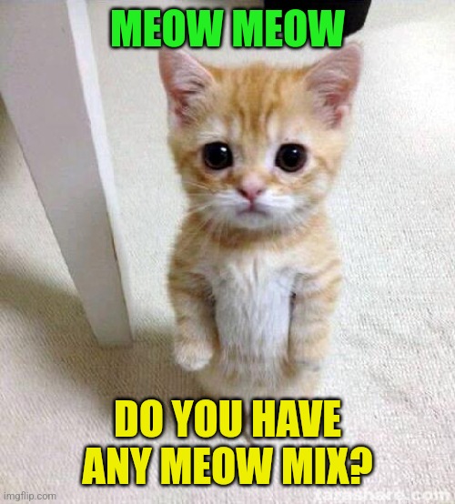 Meow Mix | MEOW MEOW; DO YOU HAVE ANY MEOW MIX? | image tagged in memes,cute cat,funny memes | made w/ Imgflip meme maker