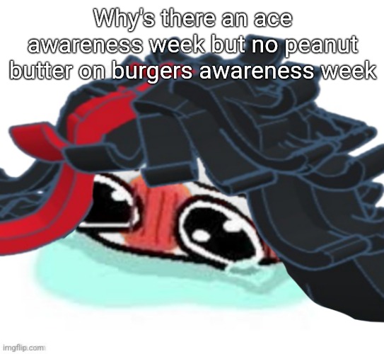 Amb shamb bbbmba | Why's there an ace awareness week but no peanut butter on burgers awareness week | image tagged in amb shamb bbbmba | made w/ Imgflip meme maker