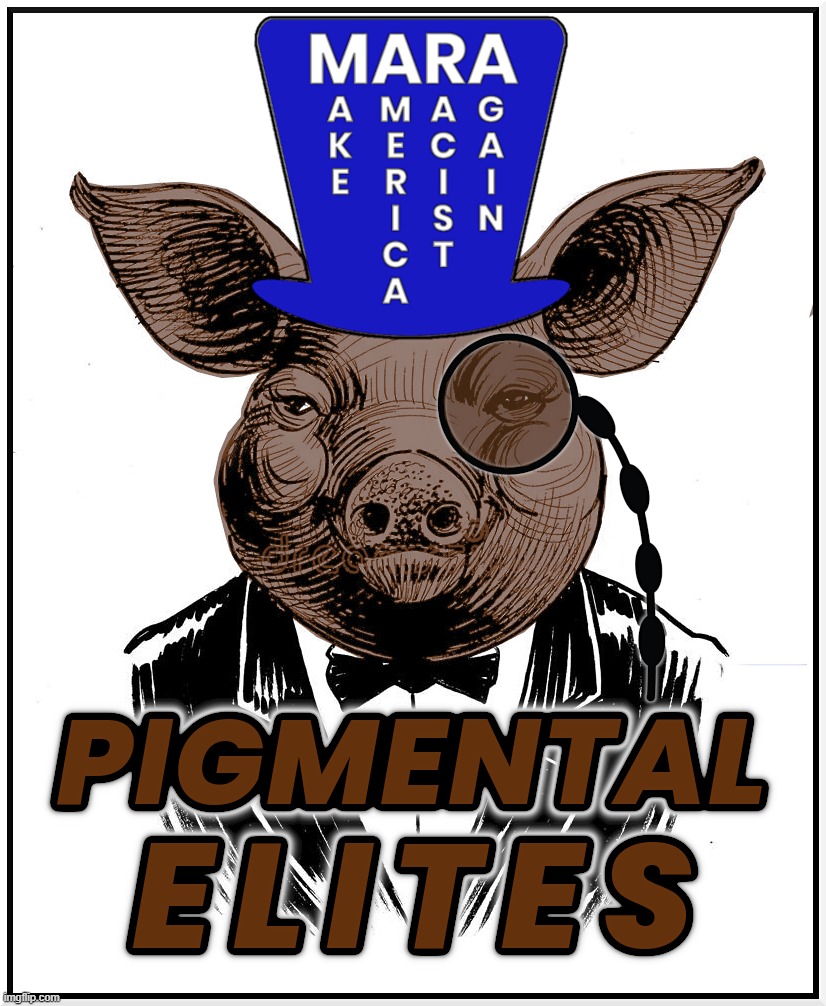 PIGMENTAL ELITES MARA | image tagged in pigmental,piggot,elites,racism,racist,bigot | made w/ Imgflip meme maker