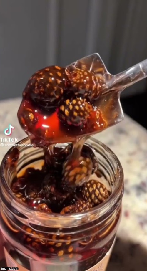 Pinecone jam is alr too | made w/ Imgflip meme maker