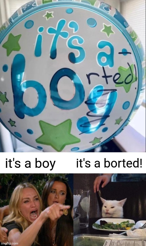 Also "aborted" | it's a borted! it's a boy | image tagged in memes,woman yelling at cat,comment section | made w/ Imgflip meme maker