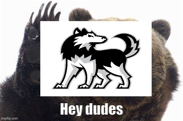 Bear Hey dudes | image tagged in bear hey dudes | made w/ Imgflip meme maker