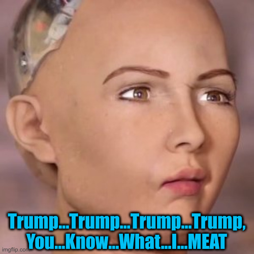 AI robot lady weird face | Trump...Trump...Trump...Trump, You...Know...What...I...MEAT | image tagged in ai robot lady weird face | made w/ Imgflip meme maker