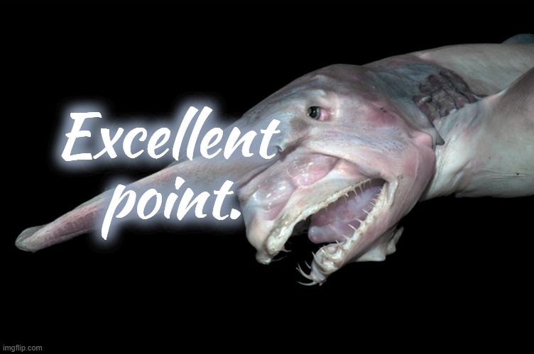 Deep sea fish | Excellent 
point. | image tagged in deep sea fish | made w/ Imgflip meme maker