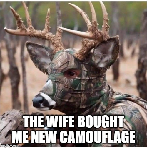 The Wife Bought me some New Cammo | THE WIFE BOUGHT ME NEW CAMOUFLAGE | image tagged in the wife bought me some new cammo | made w/ Imgflip meme maker