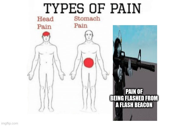 seb pain | PAIN OF BEING FLASHED FROM A FLASH BEACON | image tagged in types of pain | made w/ Imgflip meme maker