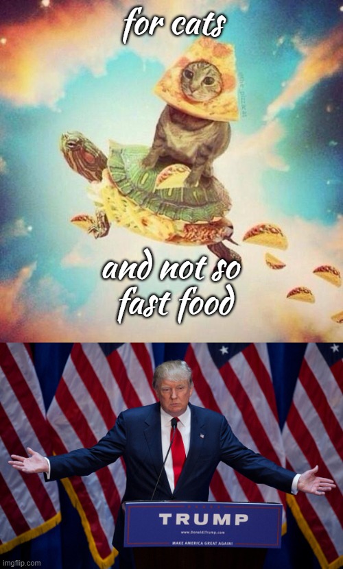 Pizza Cats and Taco Turtles for Trump | for cats; and not so
 fast food | image tagged in space pizza cat turtle tacos,donald trump | made w/ Imgflip meme maker