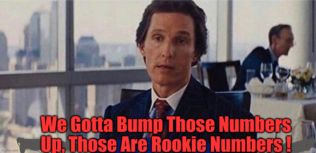 You gotta bump those numbers up, those are rookie numbers | We Gotta Bump Those Numbers Up, Those Are Rookie Numbers ! | image tagged in you gotta bump those numbers up those are rookie numbers | made w/ Imgflip meme maker