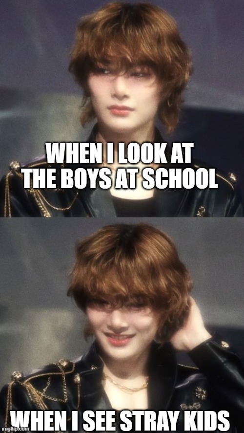 when i see boys | WHEN I LOOK AT THE BOYS AT SCHOOL; WHEN I SEE STRAY KIDS | image tagged in i n,memes,funny meme | made w/ Imgflip meme maker