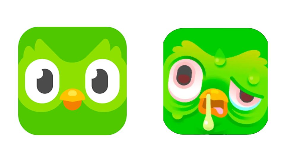 Duolingo icons Blank Meme Template