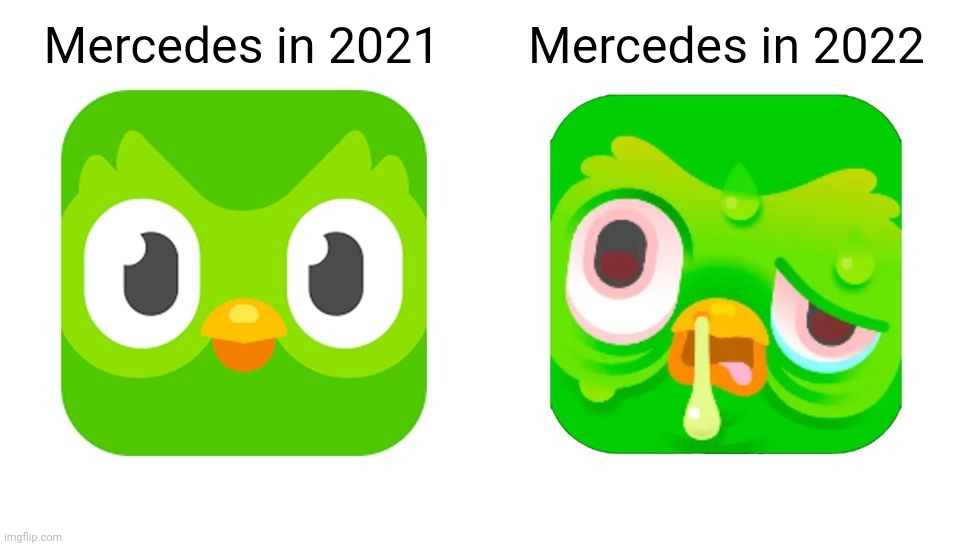 Duolingo icons | Mercedes in 2021; Mercedes in 2022 | image tagged in duolingo icons,formula 1,mercedes,2021,2022 | made w/ Imgflip meme maker