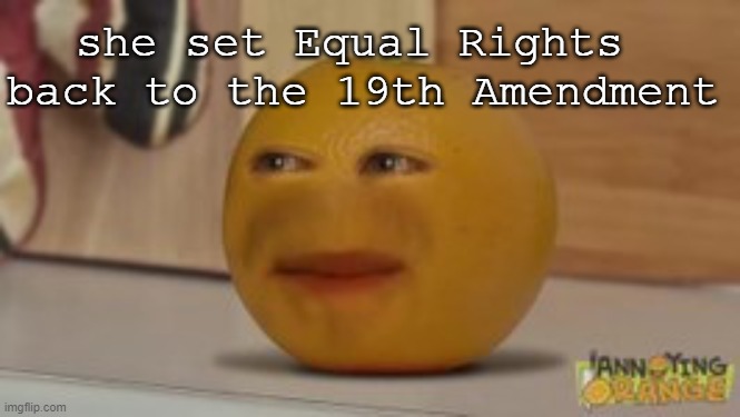 bro... that's kinda cringe | she set Equal Rights 
back to the 19th Amendment | image tagged in bro that's kinda cringe | made w/ Imgflip meme maker