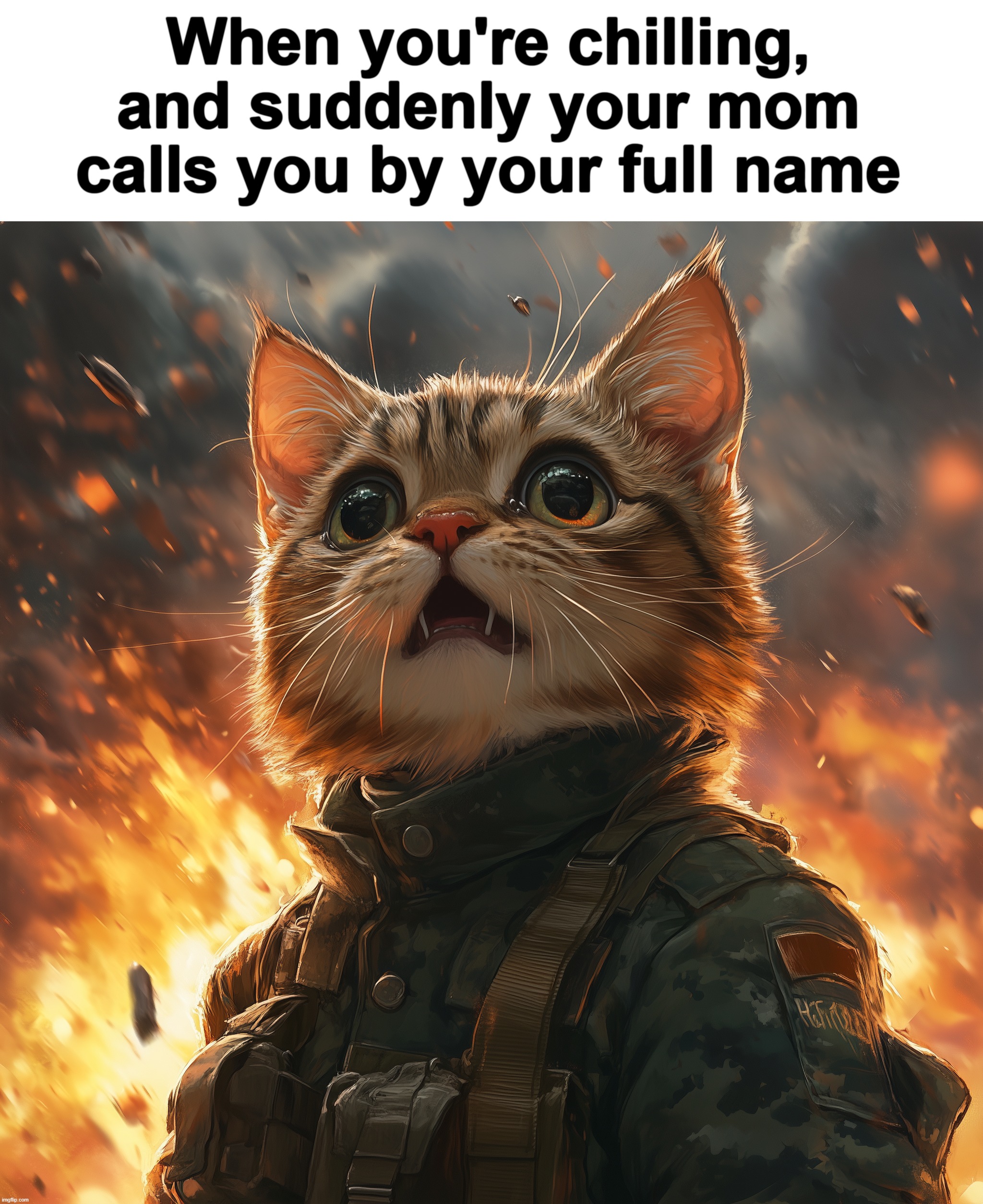 scary moment | When you're chilling, and suddenly your mom calls you by your full name | image tagged in blank white template,mom,family,memes,cat,soldier | made w/ Imgflip meme maker