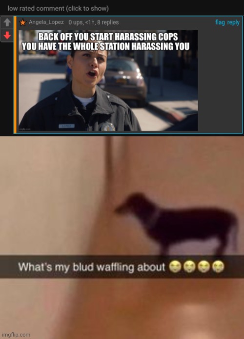 Comments got disabled after I found some low rated comments on that post...... | image tagged in what's my blud waffling about | made w/ Imgflip meme maker