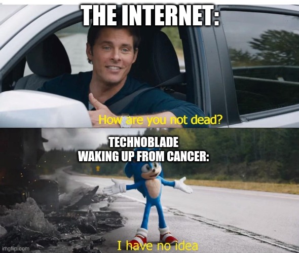 the amazing unkillable technoblade | THE INTERNET:; TECHNOBLADE WAKING UP FROM CANCER: | image tagged in sonic how are you not dead | made w/ Imgflip meme maker