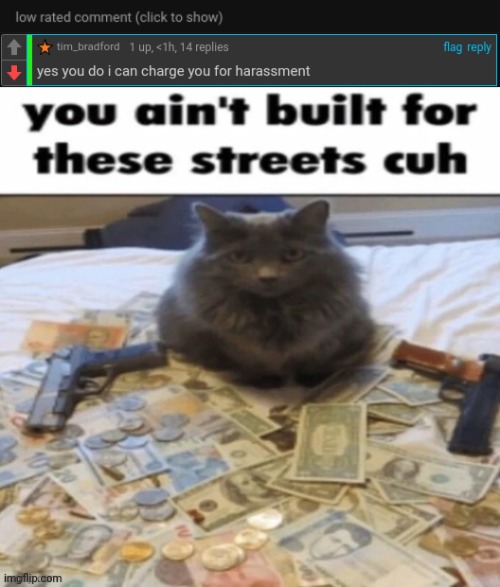 That ain't harassment.....Bro's cappin' | image tagged in you ain't built for these streets cuh | made w/ Imgflip meme maker