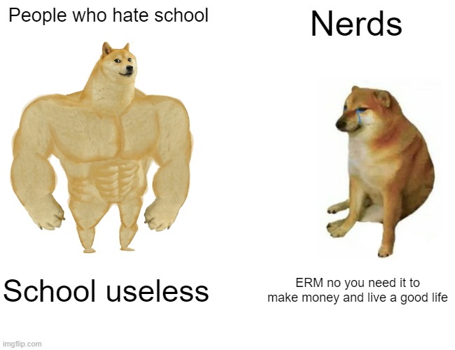 Meme 2 | People who hate school; Nerds; School useless; ERM no you need it to make money and live a good life | image tagged in memes,buff doge vs cheems | made w/ Imgflip meme maker