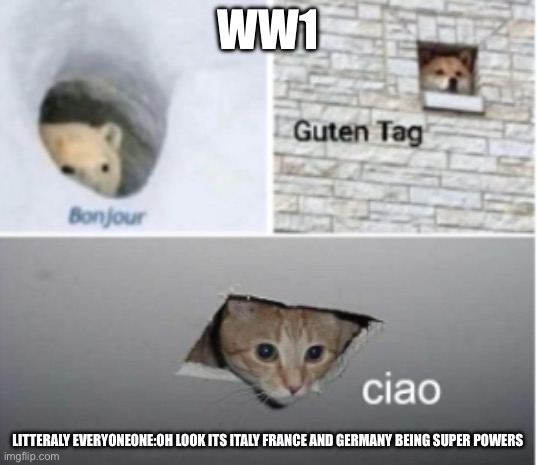 Bonjour Guten Tag Ciao | WW1; LITTERALY EVERYONEONE:OH LOOK ITS ITALY FRANCE AND GERMANY BEING SUPER POWERS | image tagged in bonjour guten tag ciao | made w/ Imgflip meme maker