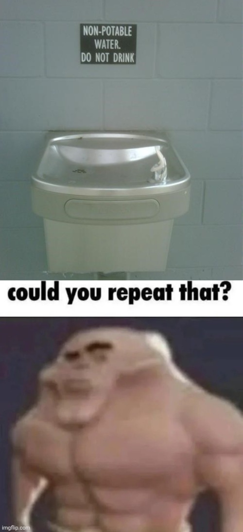 Drinking Water | image tagged in could you repeat that,water,water fountain,you had one job,memes,whar | made w/ Imgflip meme maker