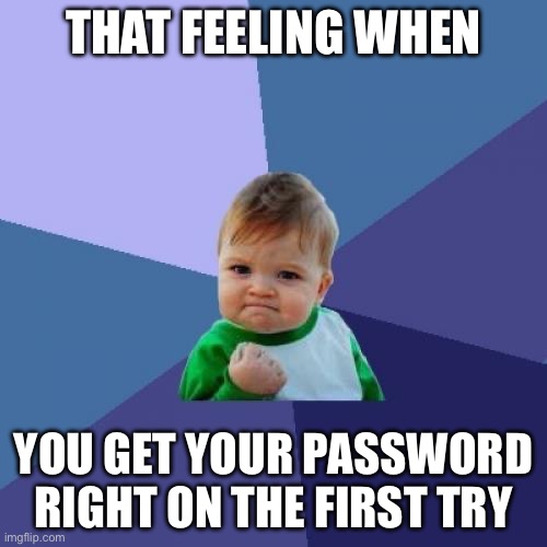 Success Kid Meme | THAT FEELING WHEN; YOU GET YOUR PASSWORD RIGHT ON THE FIRST TRY | image tagged in memes,success kid | made w/ Imgflip meme maker