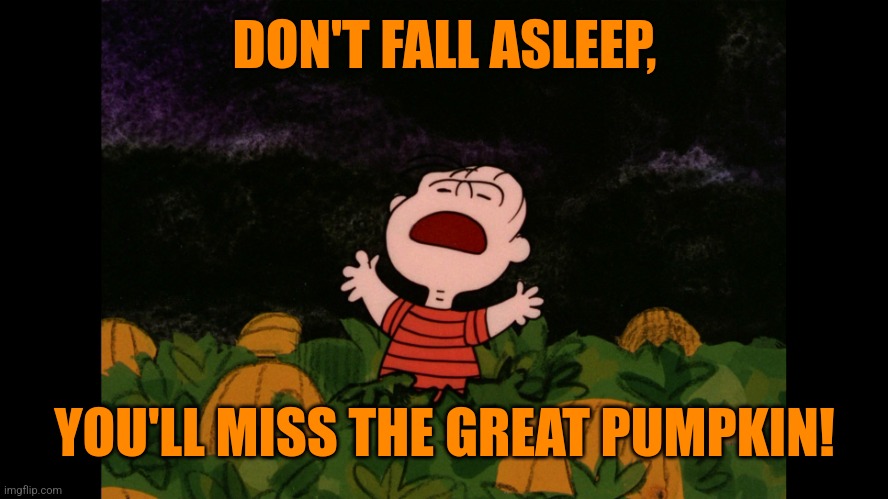 Great Pumpkin | DON'T FALL ASLEEP, YOU'LL MISS THE GREAT PUMPKIN! | image tagged in great pumpkin | made w/ Imgflip meme maker