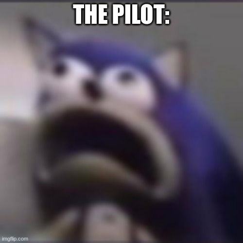 distress | THE PILOT: | image tagged in distress | made w/ Imgflip meme maker