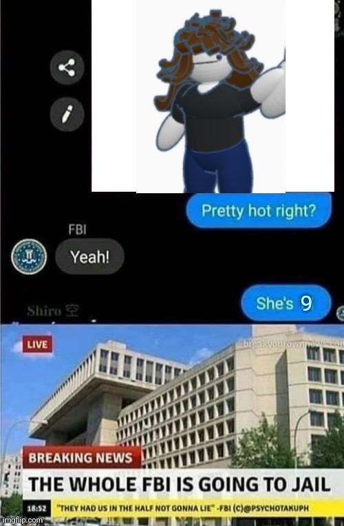 The whole FBI is going to jail | 9 | image tagged in the whole fbi is going to jail | made w/ Imgflip meme maker