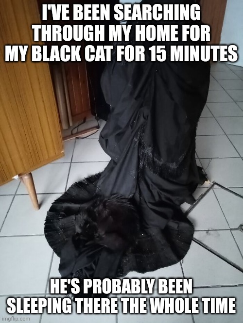 Black cat hiding | I'VE BEEN SEARCHING THROUGH MY HOME FOR MY BLACK CAT FOR 15 MINUTES; HE'S PROBABLY BEEN SLEEPING THERE THE WHOLE TIME | image tagged in black cat hiding | made w/ Imgflip meme maker