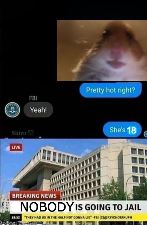 nobody is going to jail | image tagged in nobody is going to jail | made w/ Imgflip meme maker