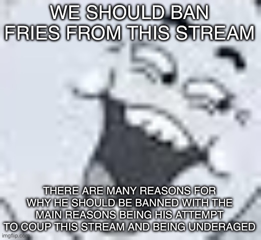 (Freaky: Y'know, I've thought about this for quite a while)
(Mod note:this is fax) (WGON: Banned and unmodded him :3) | WE SHOULD BAN FRIES FROM THIS STREAM; THERE ARE MANY REASONS FOR WHY HE SHOULD BE BANNED WITH THE MAIN REASONS BEING HIS ATTEMPT TO COUP THIS STREAM AND BEING UNDERAGED | image tagged in shitpost | made w/ Imgflip meme maker