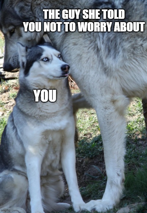 THE GUY SHE TOLD YOU NOT TO WORRY ABOUT; YOU | image tagged in wolf | made w/ Imgflip meme maker