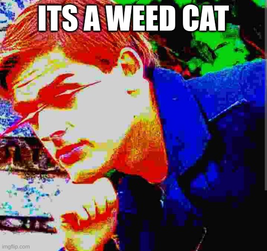 This is gonna incite a riot | ITS A WEED CAT | image tagged in matpat ultra mega ultimate game theory mode | made w/ Imgflip meme maker