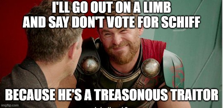 Thor is he though | I'LL GO OUT ON A LIMB AND SAY DON'T VOTE FOR SCHIFF BECAUSE HE'S A TREASONOUS TRAITOR | image tagged in thor is he though | made w/ Imgflip meme maker