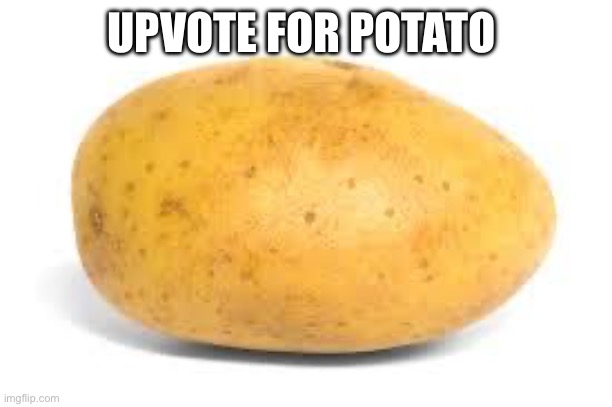 Potato | UPVOTE FOR POTATO | image tagged in potato | made w/ Imgflip meme maker