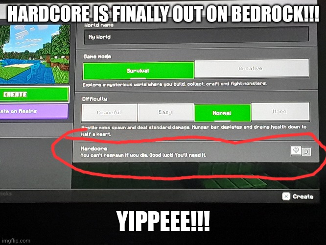 About time lolll | HARDCORE IS FINALLY OUT ON BEDROCK!!! YIPPEEE!!! | image tagged in minecraft,bedrock,hardcore | made w/ Imgflip meme maker