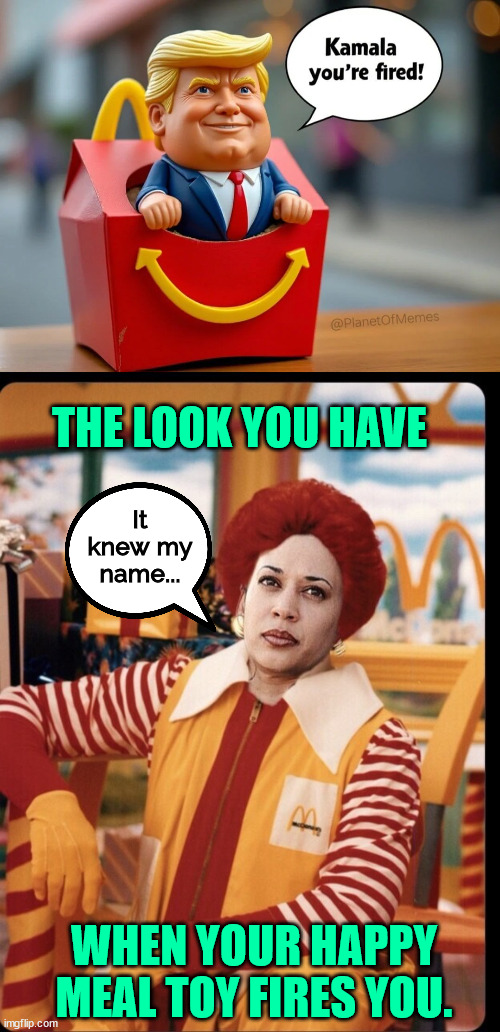 Kamala still shocked the Happy Meal toy knew her name... | THE LOOK YOU HAVE; It knew my name... WHEN YOUR HAPPY MEAL TOY FIRES YOU. | image tagged in kamala harris,you are fired,happy meal toy | made w/ Imgflip meme maker